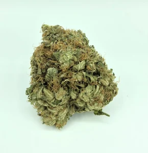 Mk Ultra Cannabis Strain
