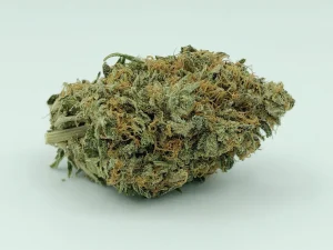MK Ultra Strain Small Bud AA+