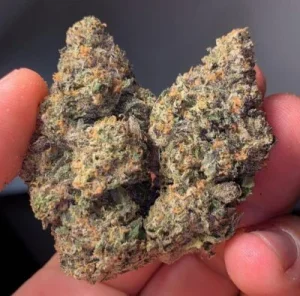Ice Cream Cake Strain