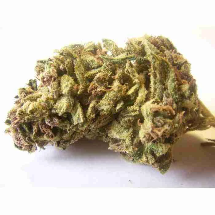 Buy Jack Herer Strain Jack Herer Strain