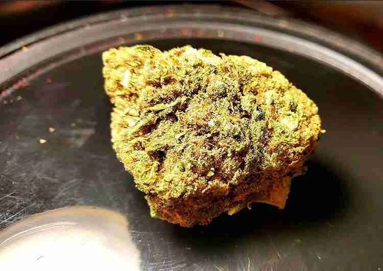 Juicy Fruit Strain