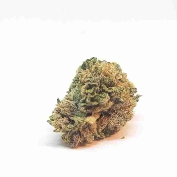 Buy Buy Khalifa Kush Strain Buy Khalifa Kush Strain