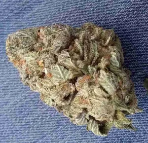 Lemon Diesel