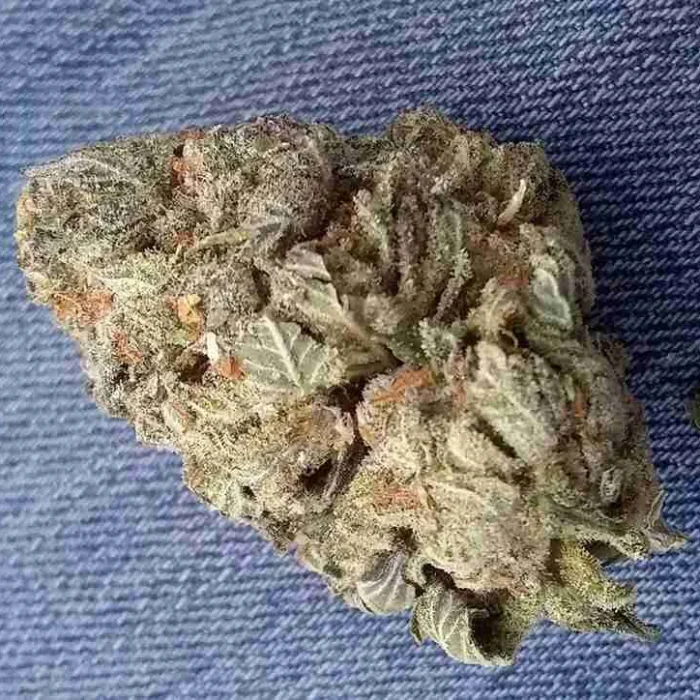 Lemon Diesel