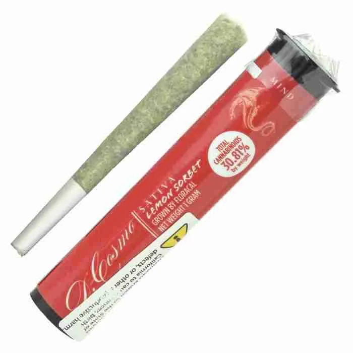 Buy Lemon Sorbet Pre Roll Lemon Sorbet Pre Roll