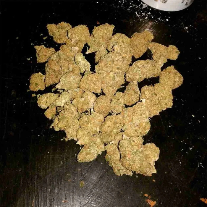 Buy Mango Kush Mango Kush