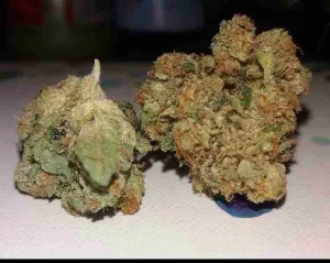 Mars OG Kush