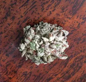Master Kush