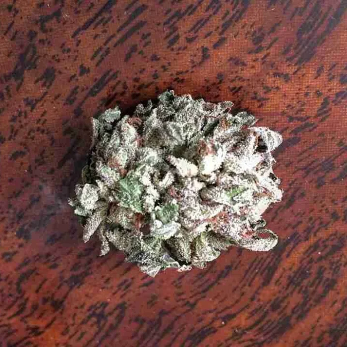 Master Kush
