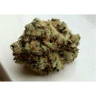 Moby Dick / Oz