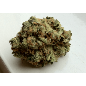 Moby Dick / Oz