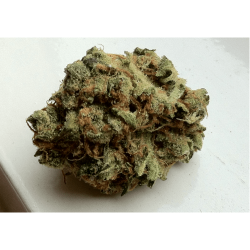 Buy Moby Dick / Oz Moby Dick / Oz