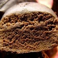 Nederhash-Hashish