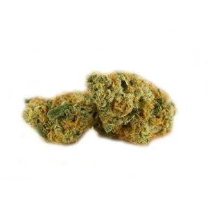 Northern Lights Strain – Rx cbd shop