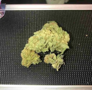 Northern Lights Kush