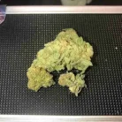 Northern Lights Kush