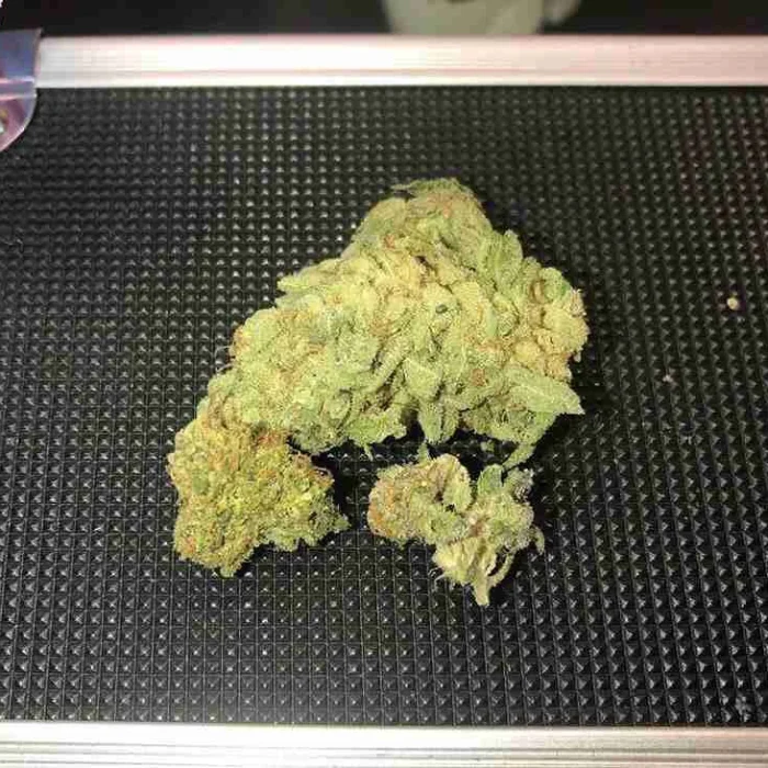 Buy Northern Lights Kush Northern Lights Kush