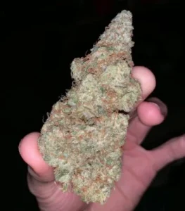 Og Kush Strain