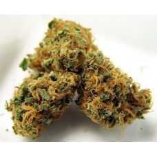 Oregon Grape / Oz