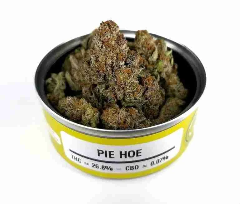 Buy Space Monkey Meds Strains Space Monkey Meds Strains