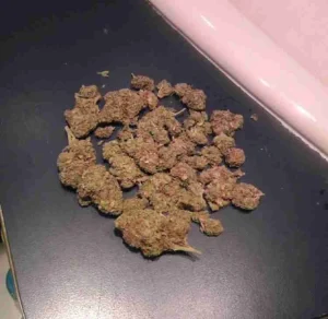 Pineapple Express