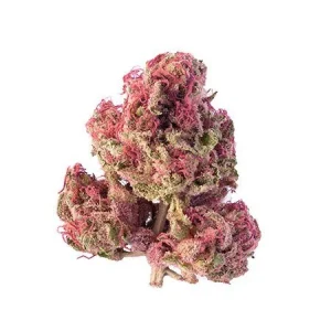 Cherry Pie