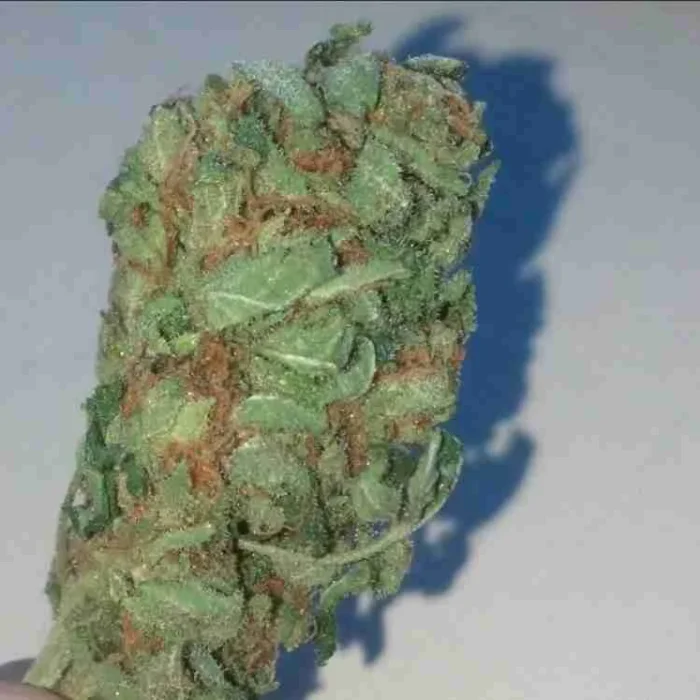 Platinum Kush