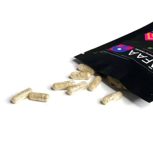 Shafaa Evolve Magic Mushroom Microdosing Prime Capsules