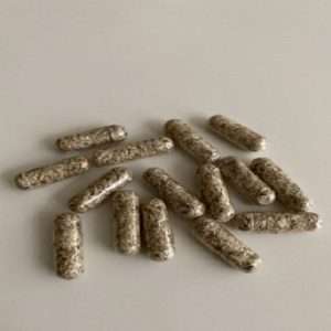 Psilocybin Capsules