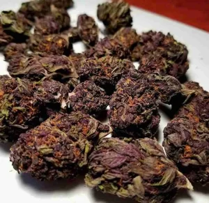 Purple Haze