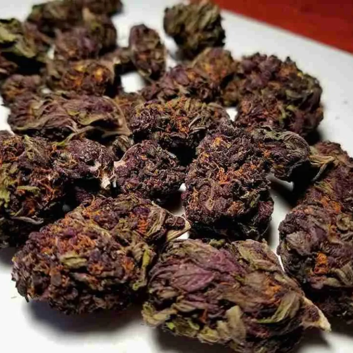 Purple Haze