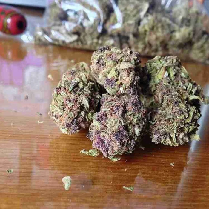 Purple Kush