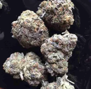 Purple Punch