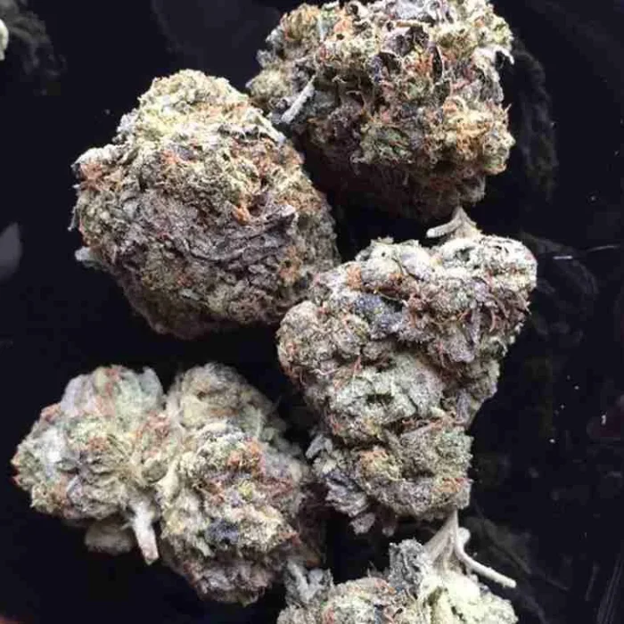 Purple Punch