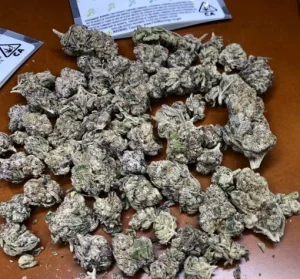 Runtz strain