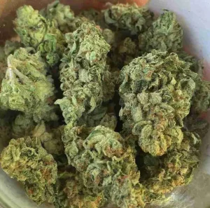 Runtz Weed