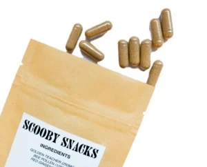 Scooby snacks Mushroom | 250mg | 2500mg