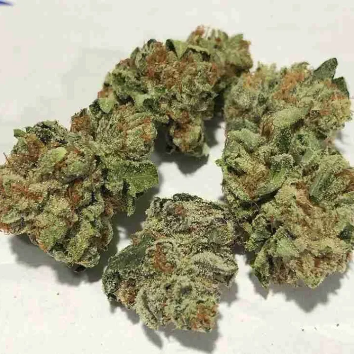 Skunk Hybrid