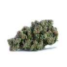 Space Monkey Meds Strains