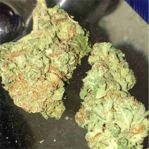 Sour Diesel