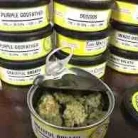 Space Monkey Meds Strains