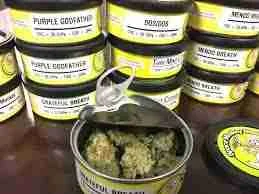 Space Monkey Meds Strains