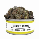 Space Monkey Meds Strains