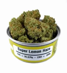 Space Monkey Meds Strains