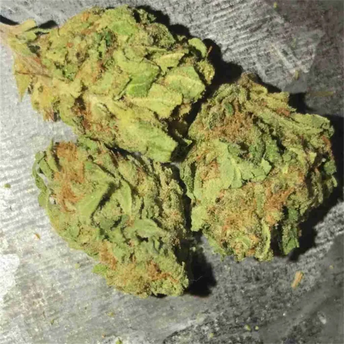 Buy Super Silver Haze Super Silver Haze
