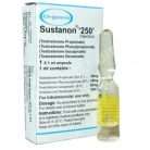 Sustanon 250 (multi-ester testosterone blend)
