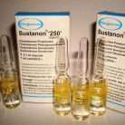 Sustanon 250 (multi-ester testosterone blend)
