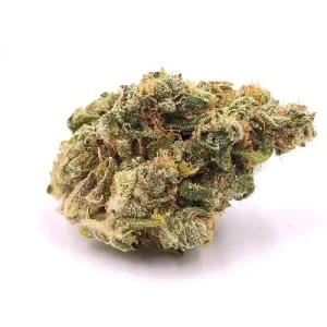 Tahoe OG Marijuana Strain l Rx cbd shop