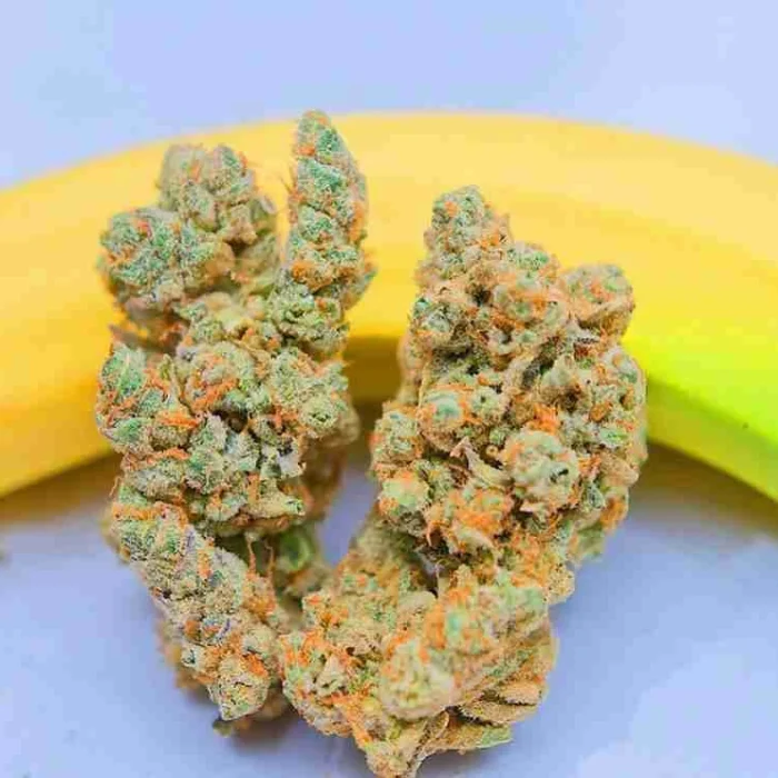 Banana OG