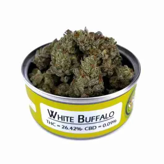 Buy Space Monkey Meds Strains Space Monkey Meds Strains